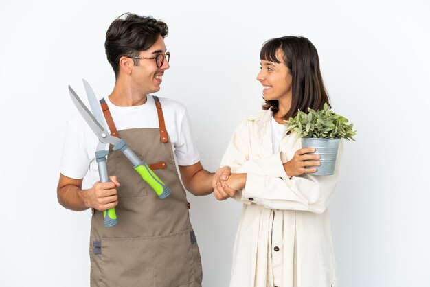 Jeunes jardiniers de race mixte tenant une plante et un sécateur isolés sur fond blanc poignée de main après une bonne affaire