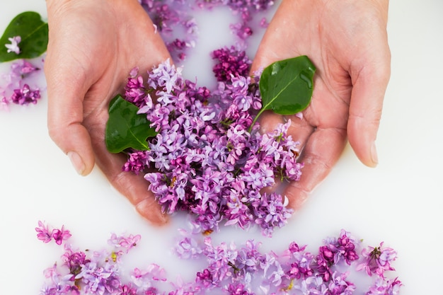 Les jeunes mains tiennent des pétales de lilas dans un bain de lait.