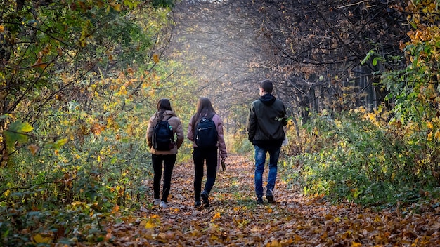 Jeunes marchant dans la forêt d'automne