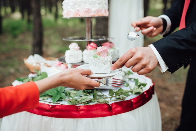 Les jeunes mariés coupent, rient et goûtent joyeusement le gâteau de mariage