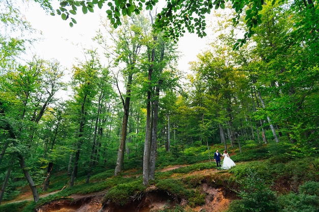 Les jeunes mariés se tiennent la main dans la forêt.