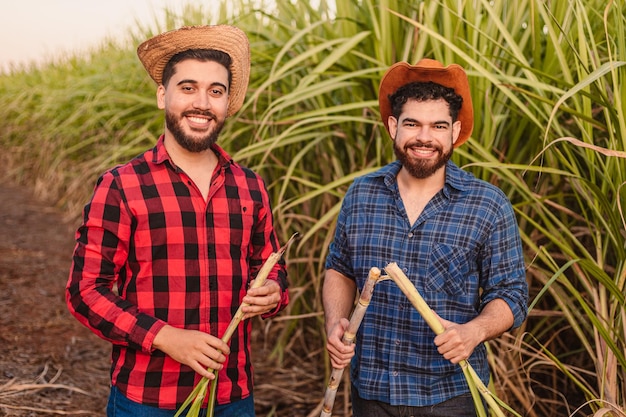 Jeunes ouvriers agricoles dans une plantation de canne à sucre discutant de la récoltexAIndustrie de l'alcool agricole