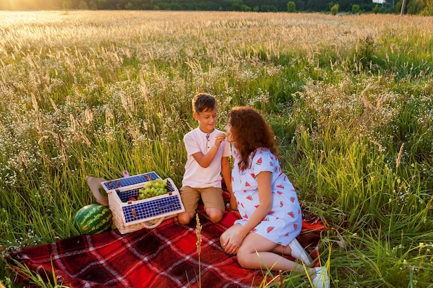 Les jeunes parents et leur fils pique-niquent sur le champ de blé par une journée ensoleillée. Le fils joue de la guitare pour ses parents. Séance photo de famille enceinte dans la nature