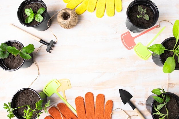 Jeunes plants de légumes et d'herbes en pots sur une table avec des outils de jardinage Jardinage de printemps