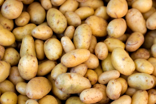 Jeunes pommes de terre au marché fermier bouchent