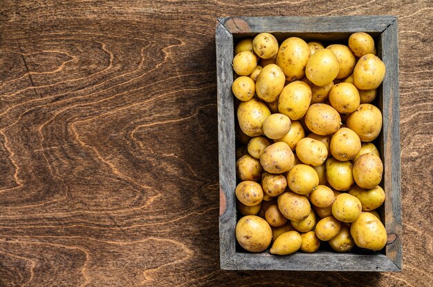 Les jeunes pommes de terre dans une boîte en bois