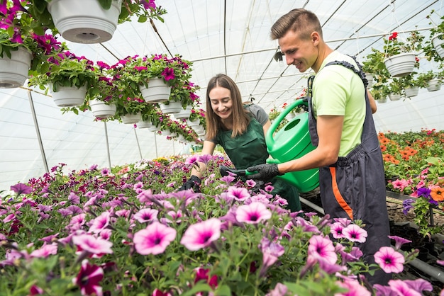 Les jeunes travailleurs d'une serre nourrissent les fleurs. Le concept de prendre soin des plantes