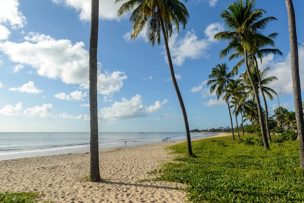 Joao Pessoa, Paraiba, Brésil le 25 mai 2021. Plage de Manaira avec cocotiers.