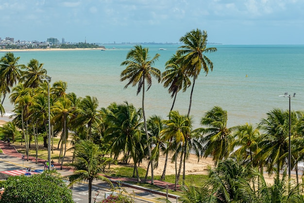 Joao Pessoa Paraiba Brésil Cocotiers sur la plage de Cabo Branco