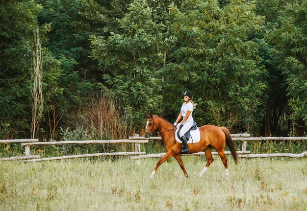 Jockey de fille montant un cheval