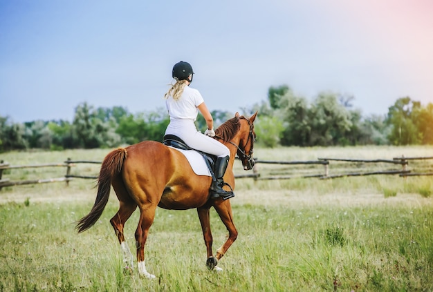 Jockey de fille montant un cheval