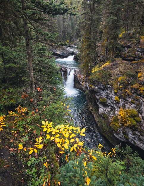 Johnston Canyon Upper Falls qui coule dans la forêt profonde du parc national Banff