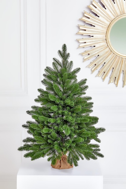 Joli arbre de Noël danois touffu sans décorations dans un grand pot enveloppé dans un sac avec un espace pour votre message sur fond blanc