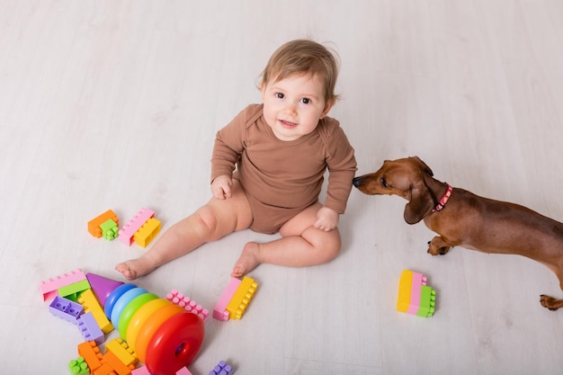 Joli bébé en chemise marron jouant avec des jouets et une bannière de carte de chien teckel photo de haute qualité