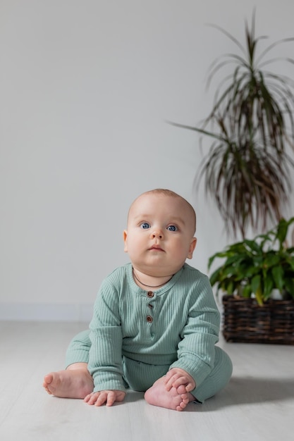 Joli bébé potelé dans une combinaison verte est assis sur le sol à côté d'une plante d'intérieur