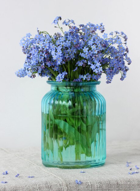 Joli bouquet de myosotis bleus dans un vase en verre fleurs délicates sur fond clair