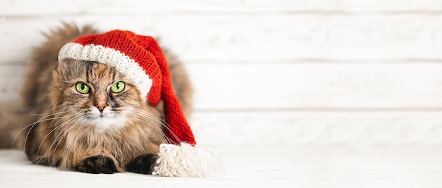 Joli chat aux yeux verts dans un chapeau de père Noël sur fond de bois blanc.