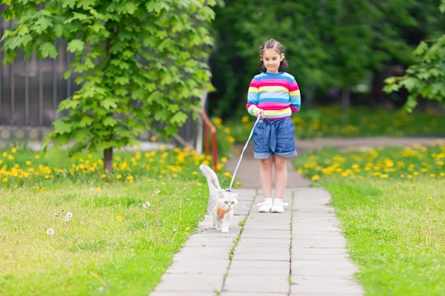 Un joli chat blanc se promène avec une petite fille au printemps, ils marchent le long d'un chemin parmi l'herbe avec un cri