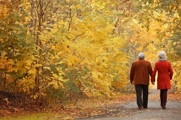 Joli couple d'âge mûr dans le parc d'automne