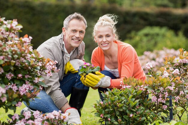 Joli couple cherche des fleurs dans le jardin