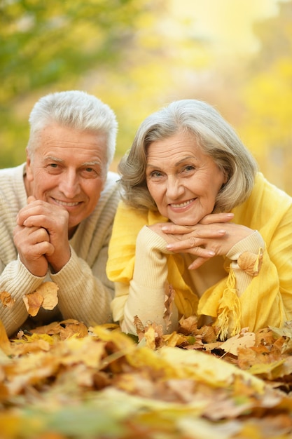 Joli couple de personnes âgées marchant dans le parc en automne