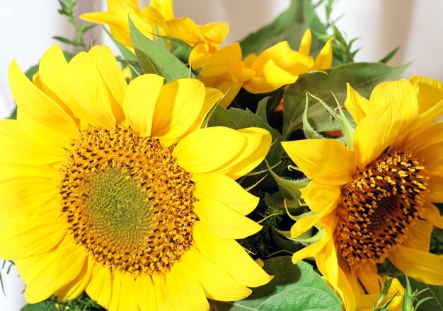 Joli fragment de bouquet d'été de tournesol