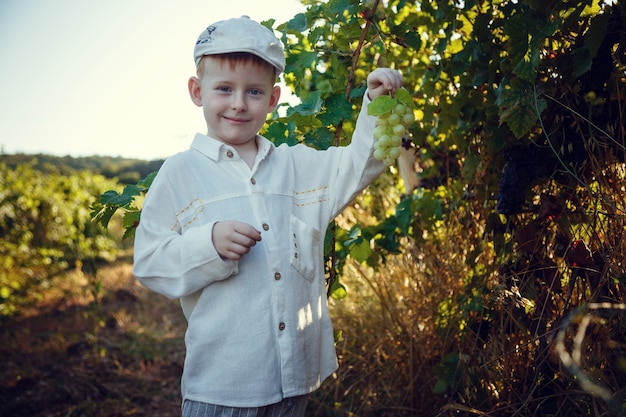 Un Joli Garçon Aux Cheveux Roux Avec Des Taches De Rousseur Aide Dans Le Jardin. L'idée Et Le Concept De La Scolarisation Précoce Pour Le Travail Dans Le Jardin Des Enfants