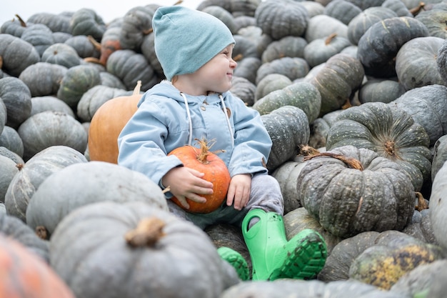 Joli garçon caucasien souriant assis sur un tas de citrouilles récolte de citrouilles d'automne