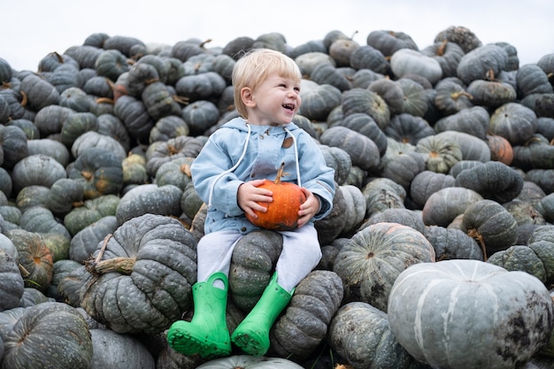 Joli garçon caucasien souriant assis sur un tas de citrouilles. saison d'automne, récolte de citrouilles.