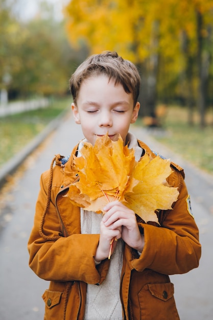 Joli garçon marche et pose dans un parc d'automne coloré