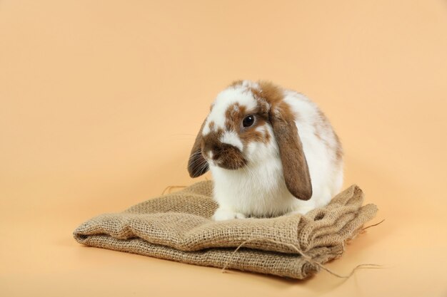 Joli lapin de Pâques marron et blanc sur un sac