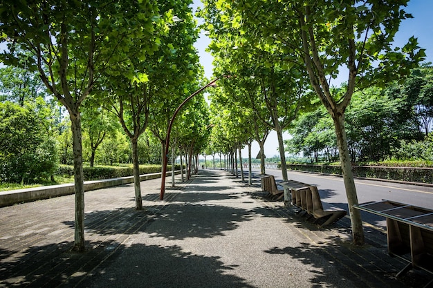 Joli parc en ville avec allées dans les arbres