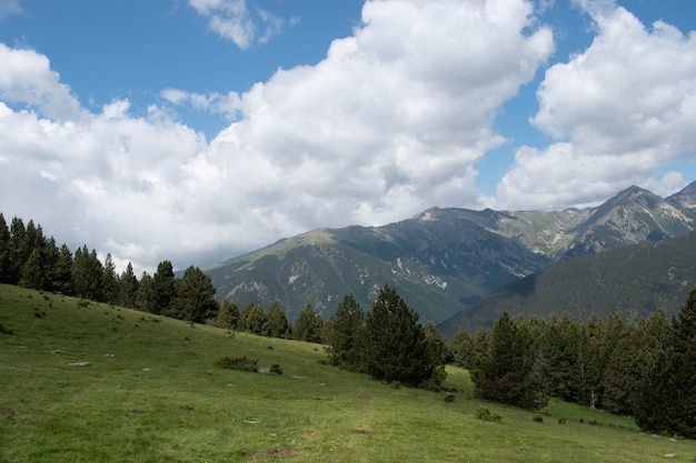 Joli paysage montagneux des Pyrénées avec pré vert