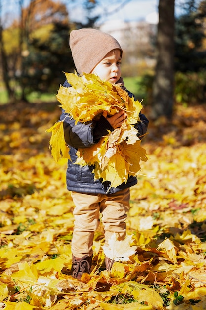 Joli petit garçon avec une brassée de feuilles d'érable jaunes sèches dans ses mains lors d'une promenade dans le parc en automne. Verticale.