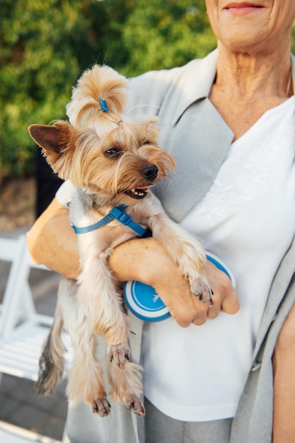 Jolie femme âgée tenant un yorkshire terrier dans ses bras.