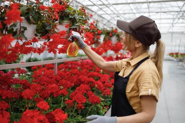 Jolie femme fleuriste pulvérisant des fleurs dans une serre