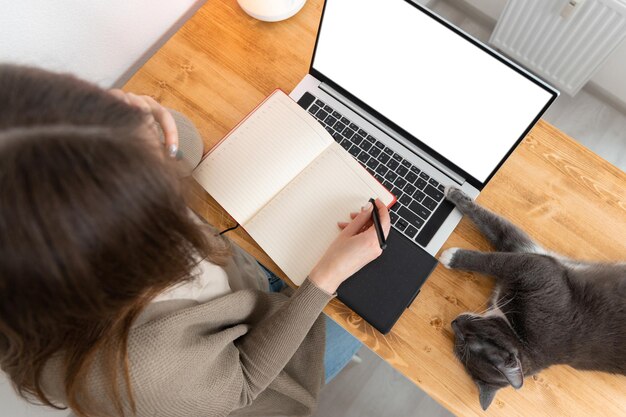 Jolie femme méconnaissable en cardigan gris appelant par téléphone portable et prenant des notes dans un bloc-notes