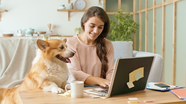 Une jolie femme travaillant avec un ordinateur portable et faisant une conversation d'affaires au téléphone, assise sur un canapé. Près de couché sur le canapé un chien mignon.