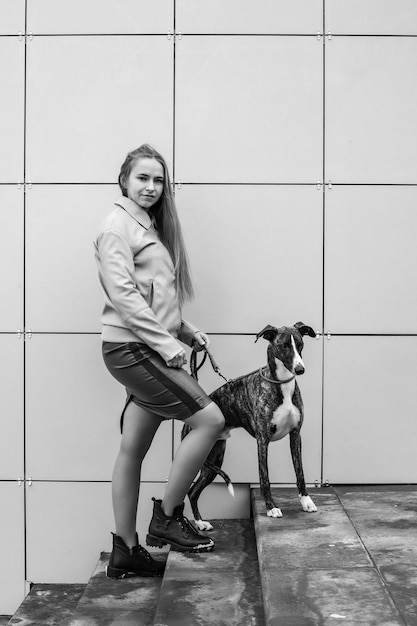 jolie fille blonde tient un chien whippet en laisse dans la ville