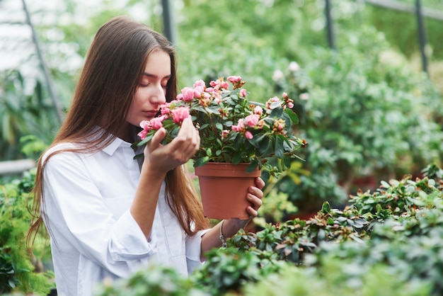 Jolie fille tient le pot et renifle les fleurs dans la serre.