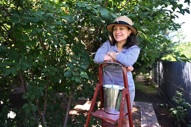 Une jolie jardinière hispanique se dresse sur une échelle avec un seau plein de cerises fraîchement cueillies à vendre sur les marchés de producteurs