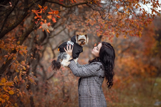 Jolie jeune fille avec chien yorkshire terrier dans le parc à l'automne. concept de soins et d'amitié