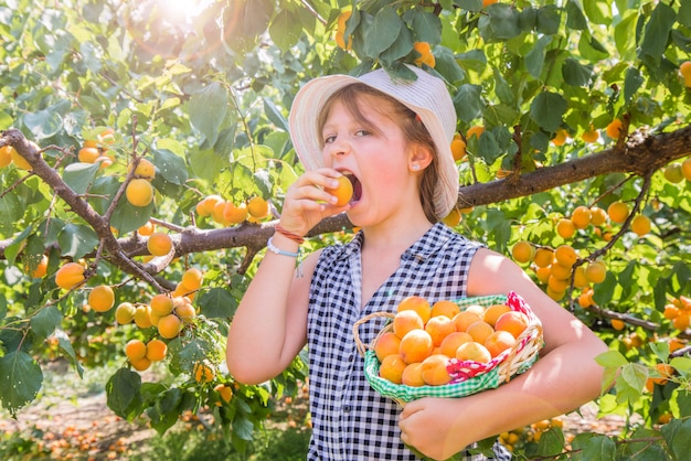 Jolie jeune fille est la récolte des abricots dans une belle journée d&#39;été