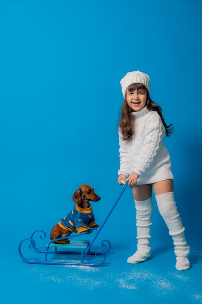 Jolie petite fille brune dans un bonnet et un pull en tricot blanc traîne un chien teckel avec des cadeaux sur un fond bleu dans l'espace de studio pour le texte