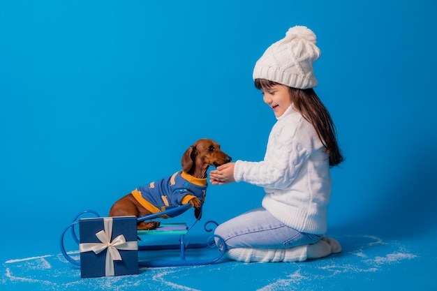 Jolie petite fille brune dans un bonnet et un pull en tricot blanc traîne un chien teckel avec des cadeaux