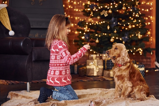 Jolie petite fille avec un chien ensemble dans la salle décorée de Noël.