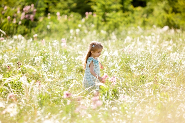 jolie petite fille marche dans un pré avec des fleurs sauvages au loin