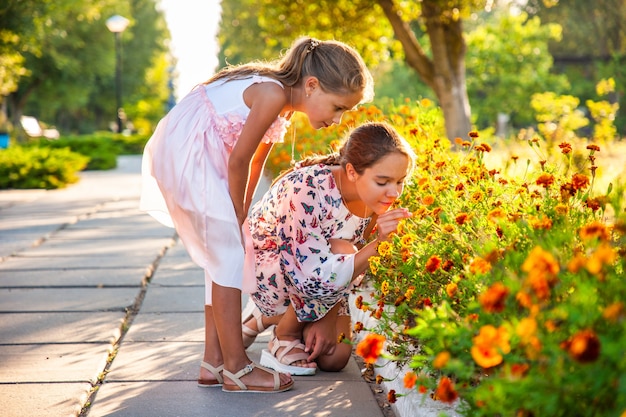 Jolies filles adorables en robes délicates roses renifler de merveilleux soucis ardents dans un parc d'été lumineux par une journée ensoleillée lors de vacances tant attendues