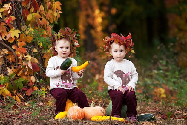 Jolies Petites Filles Jumelles Jouant Avec La Courgette Dans Le Parc En Automne. Halloween Et Temps De Thanksgiving Amusant Pour La Famille.