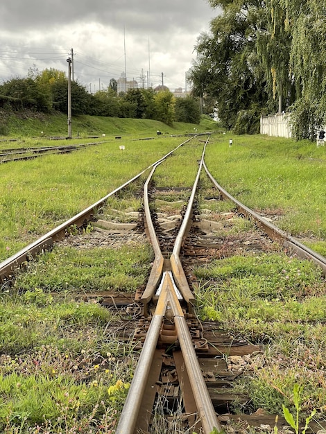 Jonction de commutation de voies ferrées dans l'herbe verte